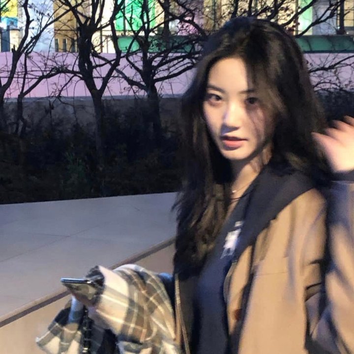 东京飞龙儿